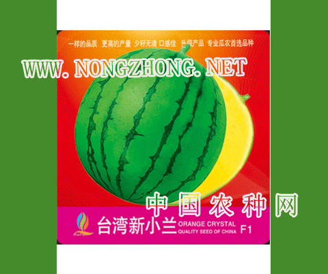 台湾新小兰西瓜种子